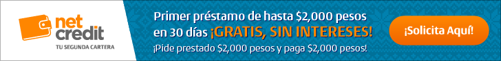 netcredit banner